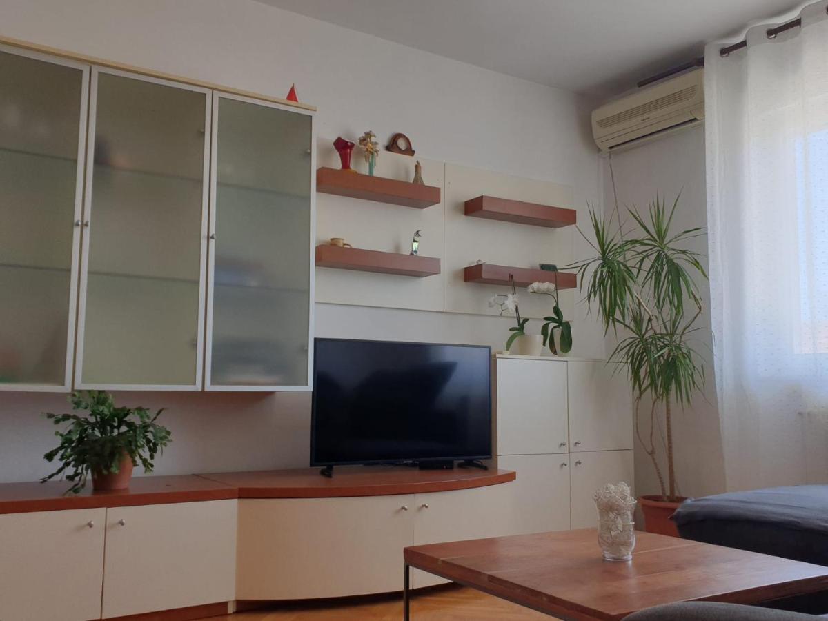 Apartments Ivana زادار المظهر الخارجي الصورة